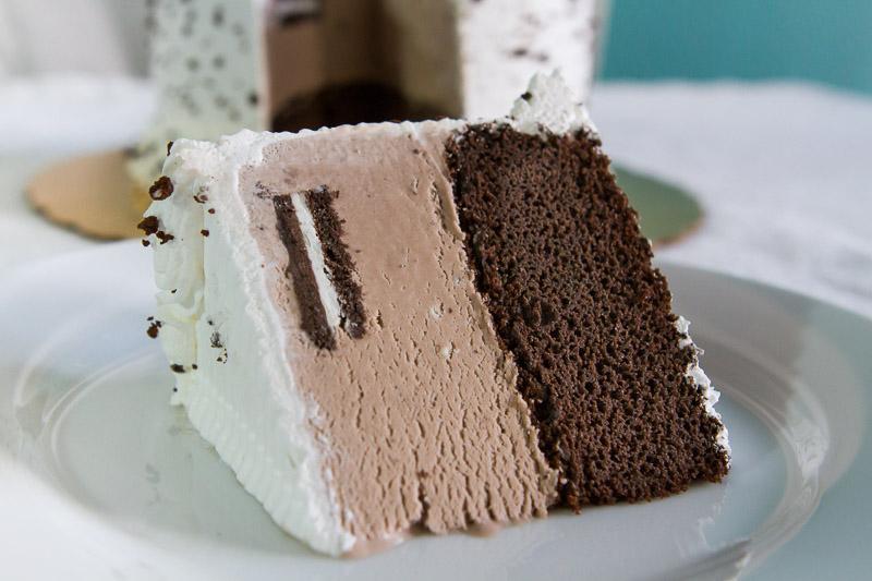 Ice Cream Cakes